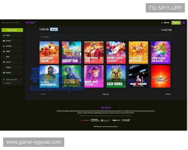 PG娱乐电子官网入口最新安全指南，帮助玩家轻松访问官方平台保障账号安全